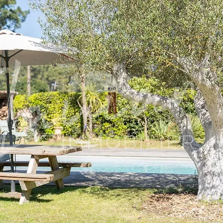 Silvana * أنغليه